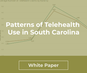 Patterns of Telehealth Use in South Carolina - White Paper