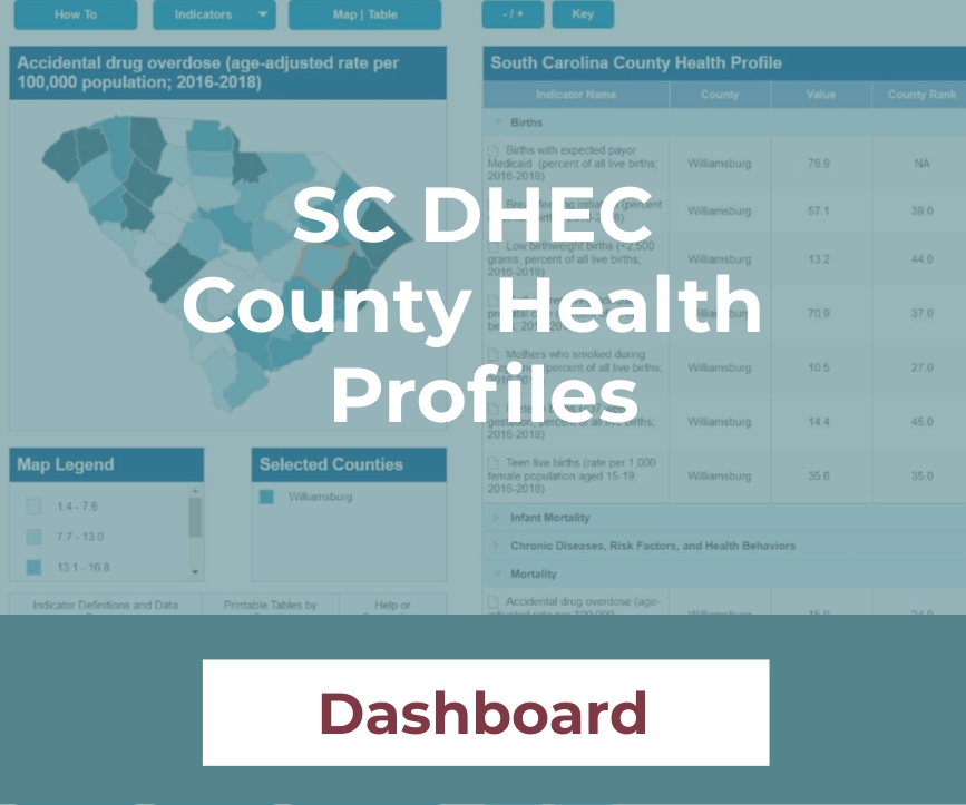SC DHEC County Health Profiles