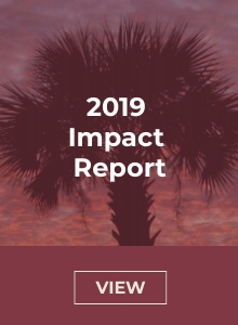 Impact Report 2019