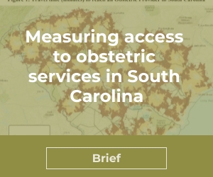 Measuring Access to Obstetric Services in South Carolina